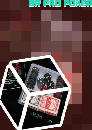 Br pro poker chips